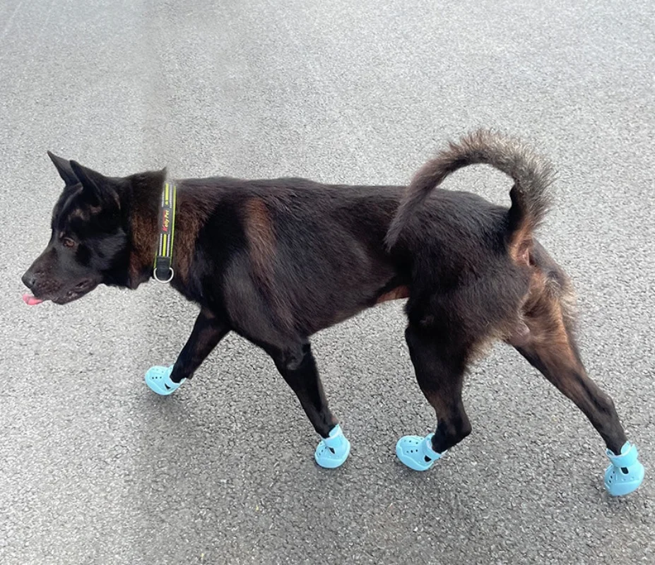 Zapatos de zuecos para mascotas, sandalias de verano para perros, zapatos transpirables duraderos para perros, zapatos impermeables para la lluvia para mascotas, zapatos de zuecos para perros y gatos - imagen 4