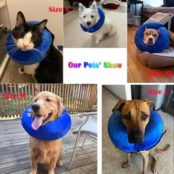Collarín inflable de recuperación para perros – Alternativa al cono postcirugía