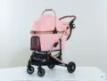301-1 Sakura powder