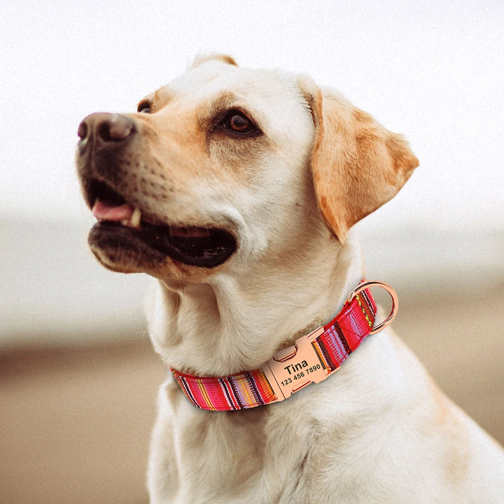 Sistema de cierre resistente y placa de identificación metálica