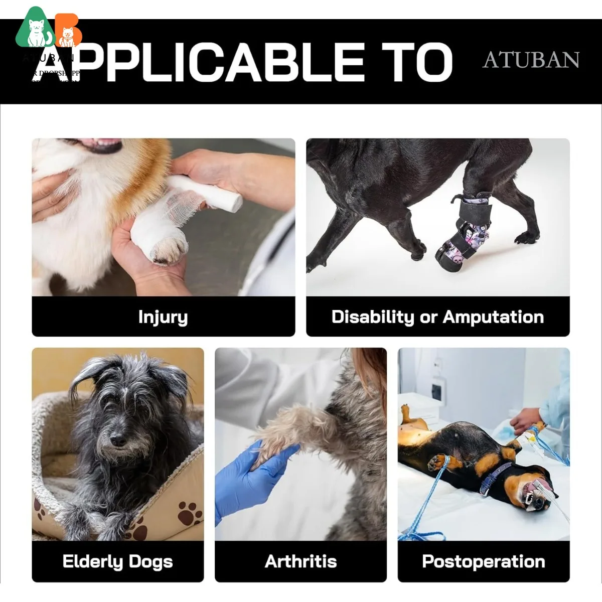 Arnés de elevación para perros mayores con patas traseras acolchadas - imagen 4