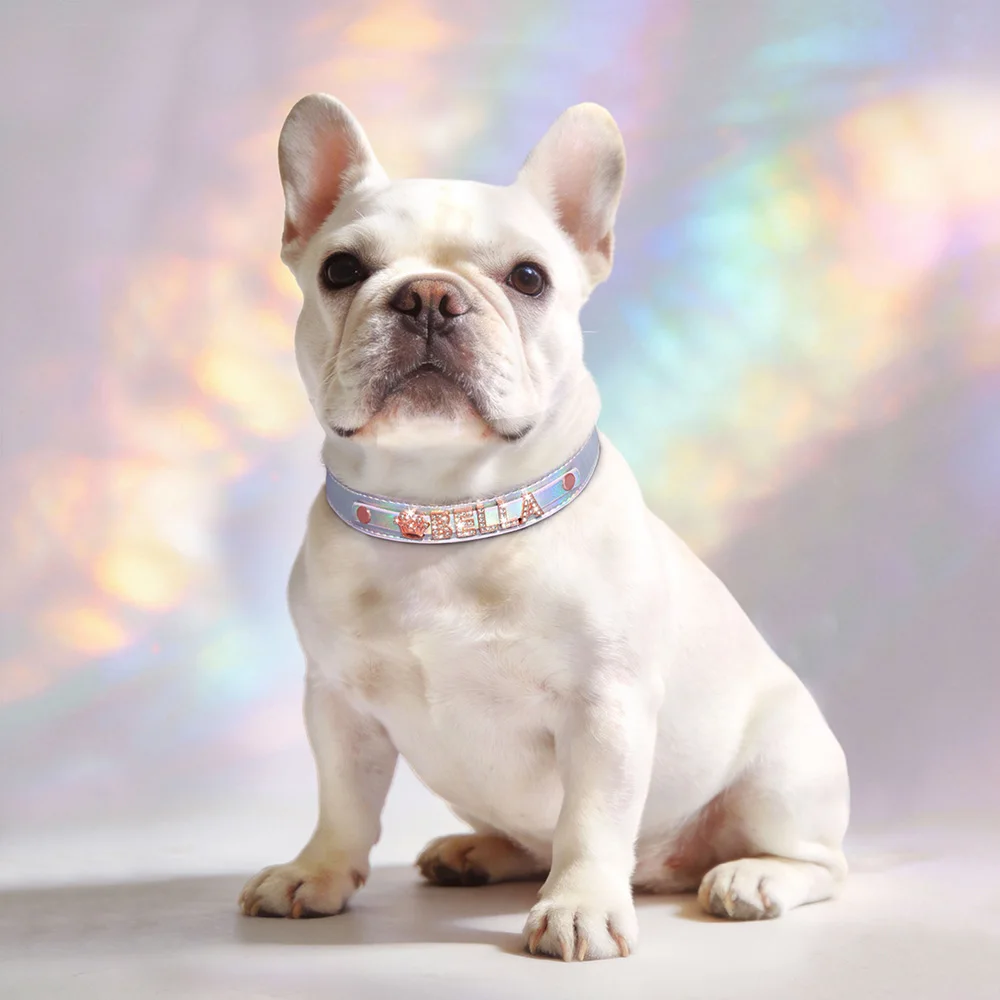 Collar personalizado para perros y gatos con nombre grabado y dijes - imagen 5