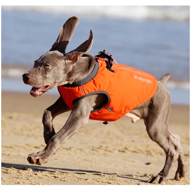 TRUELOVE-Chaleco de arnés para perro, chaqueta de alto rendimiento, nailon 66, impermeable, mantiene a las mascotas calientes, YG1871 - imagen 3