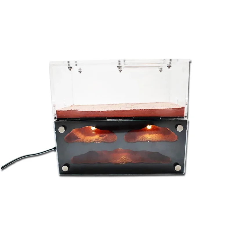 Casa Hormiga Ecológica Sin Marca - Vista principal