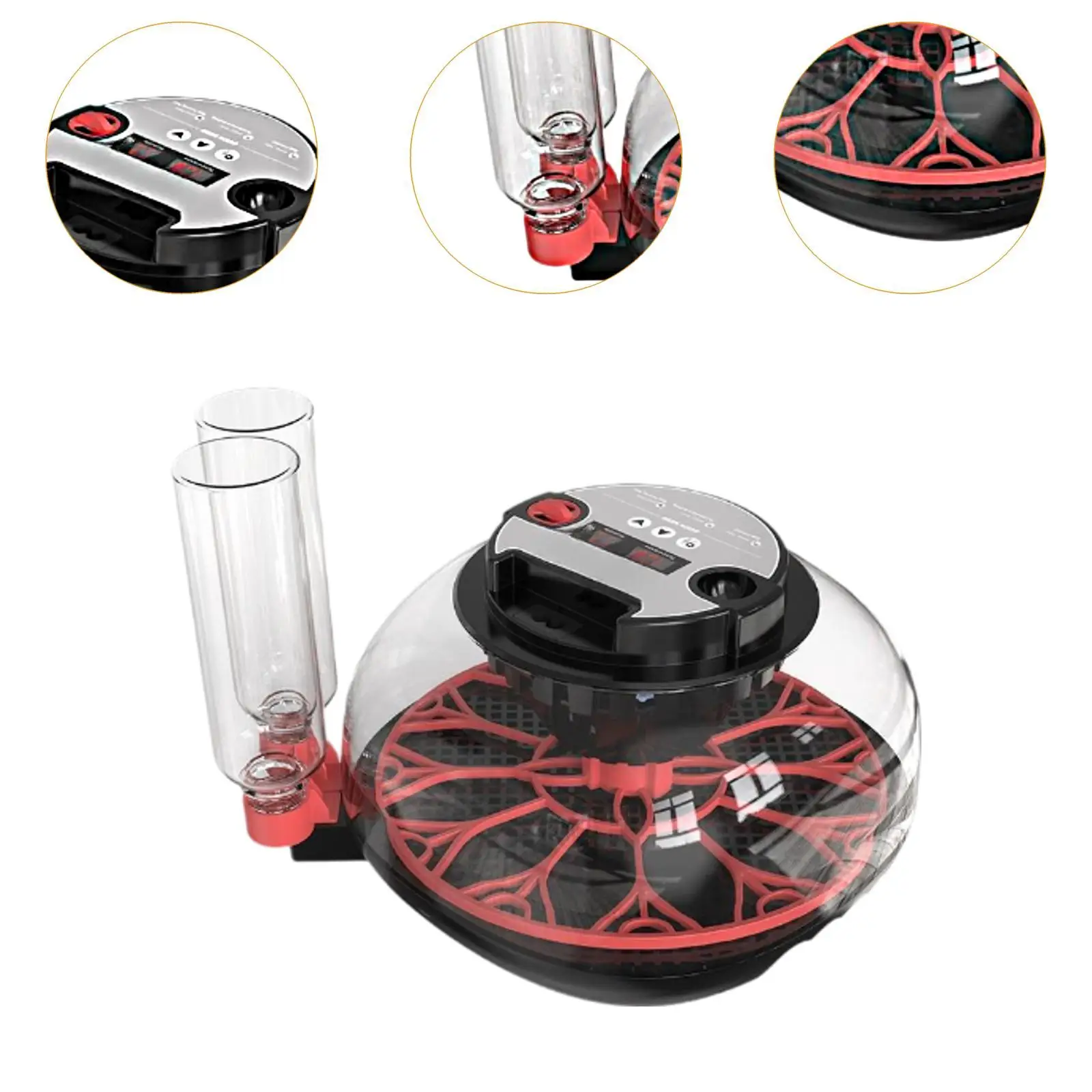 Incubadora de huevos, 7 huevos, cubierta superior transparente, incubadora de paletas para codorniz, pollo, ganso - imagen 5