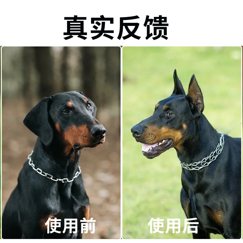 West Highlands-artefacto especial para orejas de perro, pegatina para oreja, Clip auxiliar para oreja de cachorro, Erector de orejas sin pegamento, productos para mascotas - imagen 3