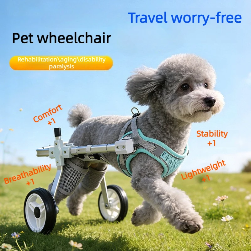 Silla de ruedas para perros con parálisis en patas traseras - imagen 5