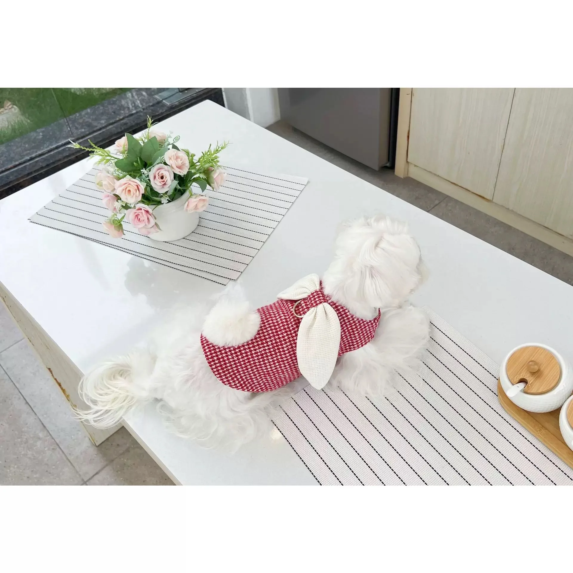 Abrigo a cuadros de otoño/invierno para mascotas, lindas Orejas de conejo con chaleco de terciopelo, camiseta sin mangas de peluche, ropa para perros pequeños, ropa para cachorros - imagen 3