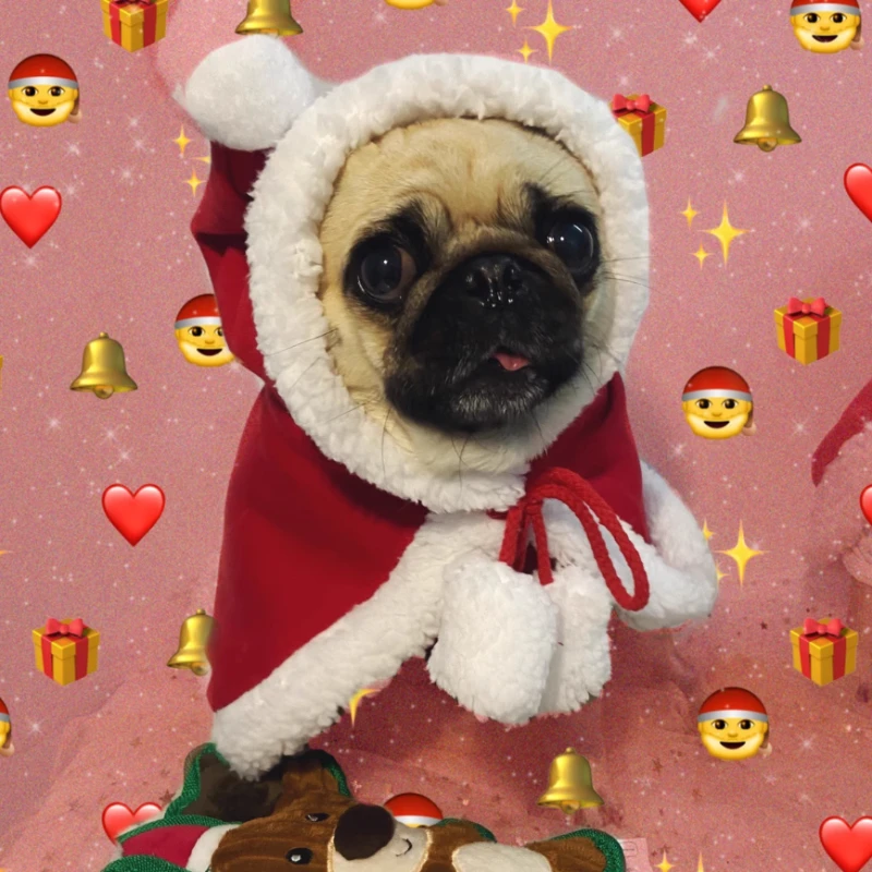 Disfraz navideño de Papá Noel para perros y gatos: sudadera con capucha de alce de felpa suave con capa roja, capa festiva cálida para fiesta de Navidad de mascotas - imagen 4