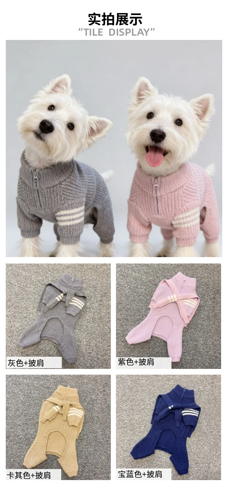 Perro mediano wearing blue polo sweater