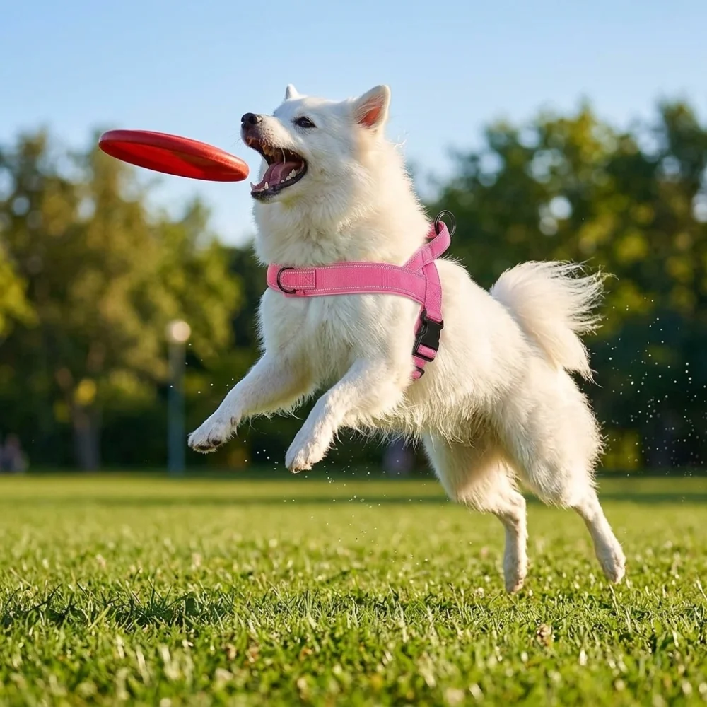 Arnés antitirones acolchado para perros grandes – Control resistente - imagen 2