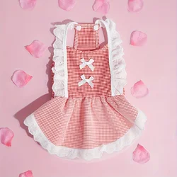 Vestido con encaje para perro pequeño - Diseños para San Valentín