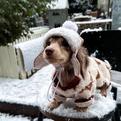 Chaqueta de lana para perro salchicha – Abrigo térmico con sombrero