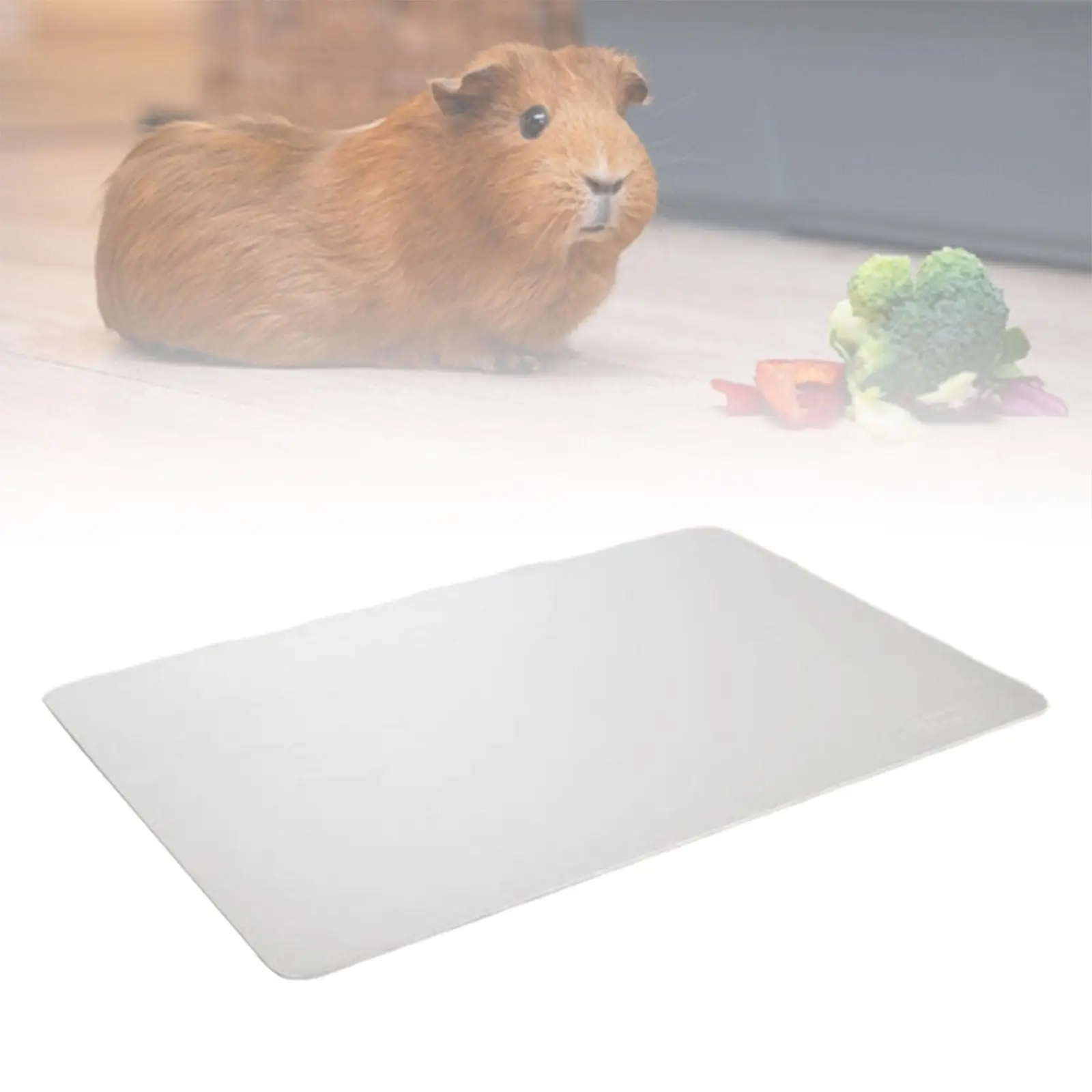 Summer Cooling Mat Comfortable Stay Cool This Summer for s Dogs Cats