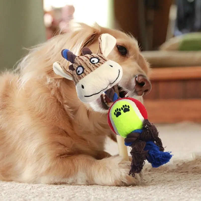 Juguetes para masticar para cachorros, juguete interactivo de pana para morder y moler con tenis, de algodón y cuerda, para perros y gatos - imagen 3