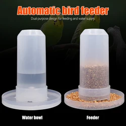Bebedero automático para codornices y pájaros con bandeja