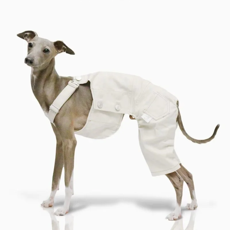 Ropa para mascotas Pantalones de transporte de mezclilla delgada azul ajustable para perros medianos Abrigo blanco de primavera de 4 patas para Italia Greyhound Wellingtonian