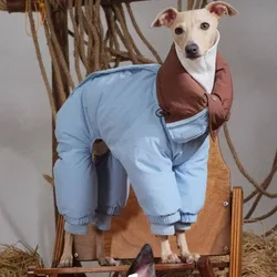 Chaqueta reversible para perros – Cuello alto, abrigada y resistente al viento