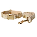 Dog Collar Leash Set