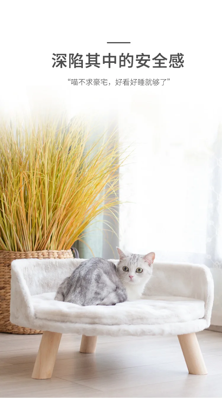 Couch cat litter _03