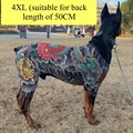 4XL