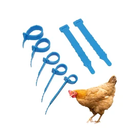 30 Uds 5 colores pollo PVC anillos suaves para pies diámetro interior 8 ~ 16mm ajustable pollito pájaro identificación anillos para pierna longitud 7,9 cm