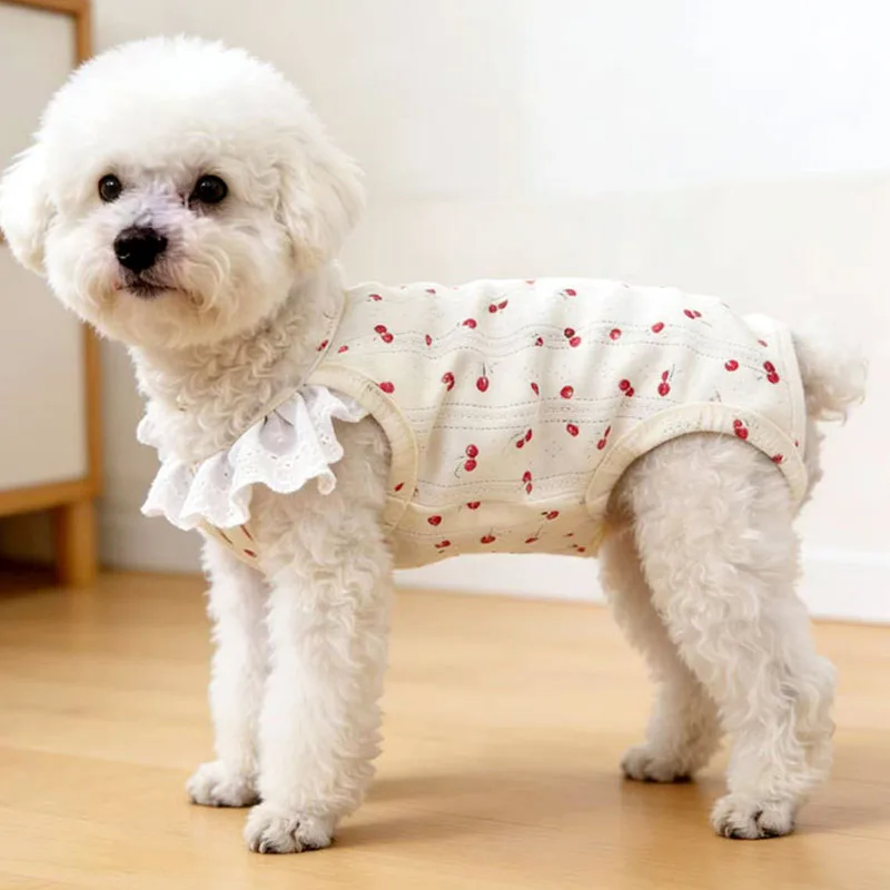 Mono verano para perras pequeñas – Pijama suave para Chihuahua, Yorkshire y Bichón