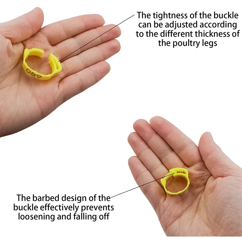 Anillo de pie de pollo ajustable, identificación numerada, 6 colores, Clip para aves de corral, pollos, patos, gansos y loros, 10/30/50 unidades - imagen 4