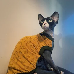 Camiseta algodón para gatos Devon Rex – estampados primavera y verano