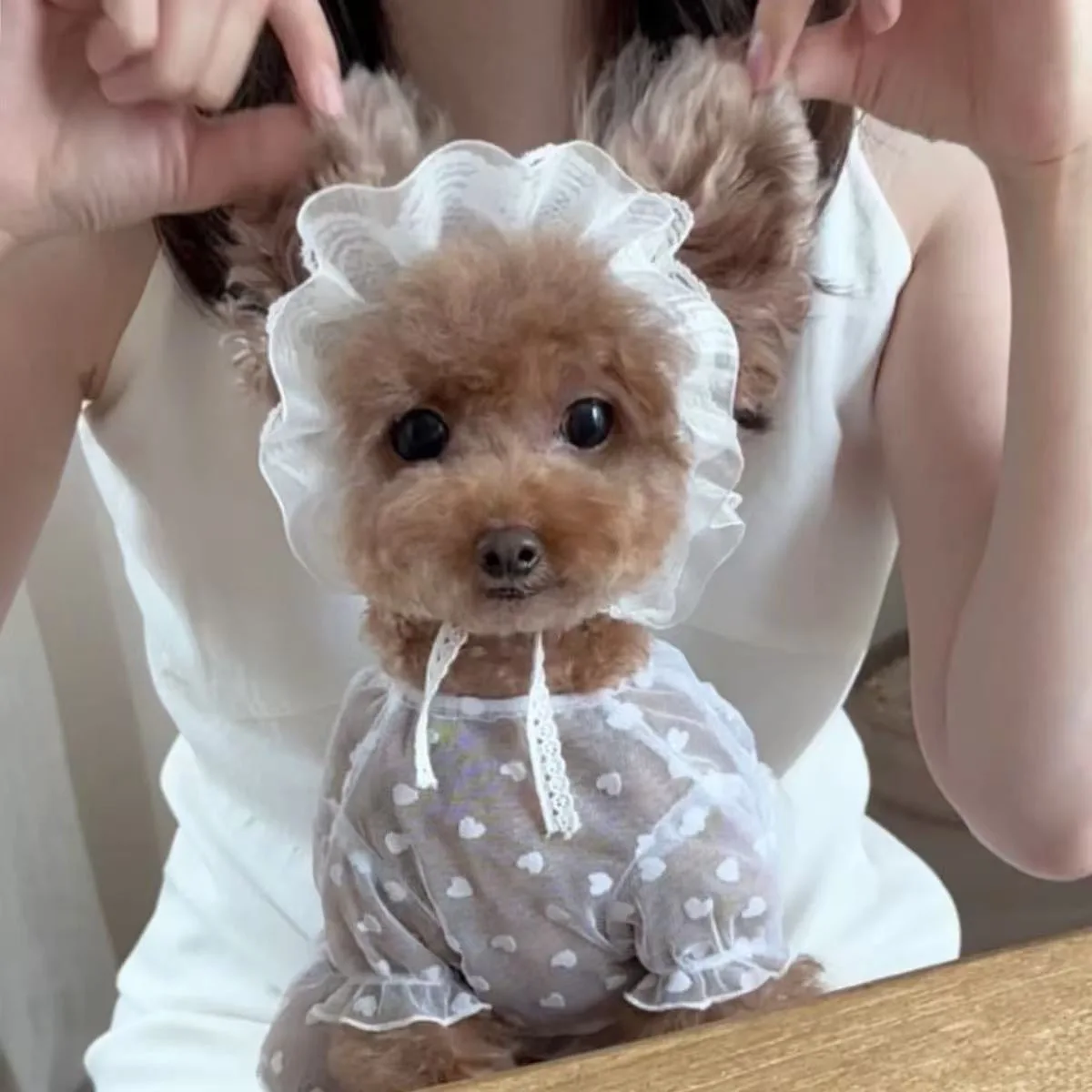 Vestido de princesa para mascotas de verano, ropa de encaje y malla para perros, ropa de malla para perros, ropa bonita para gatos, traje anticaída para cachorros y gatitos para perros - imagen 2