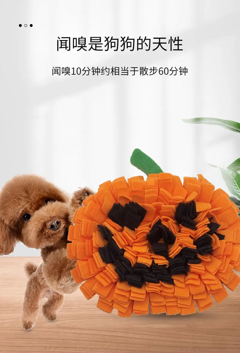 Perro pequeño usando la alfombra olfativa de calabaza