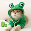frog
