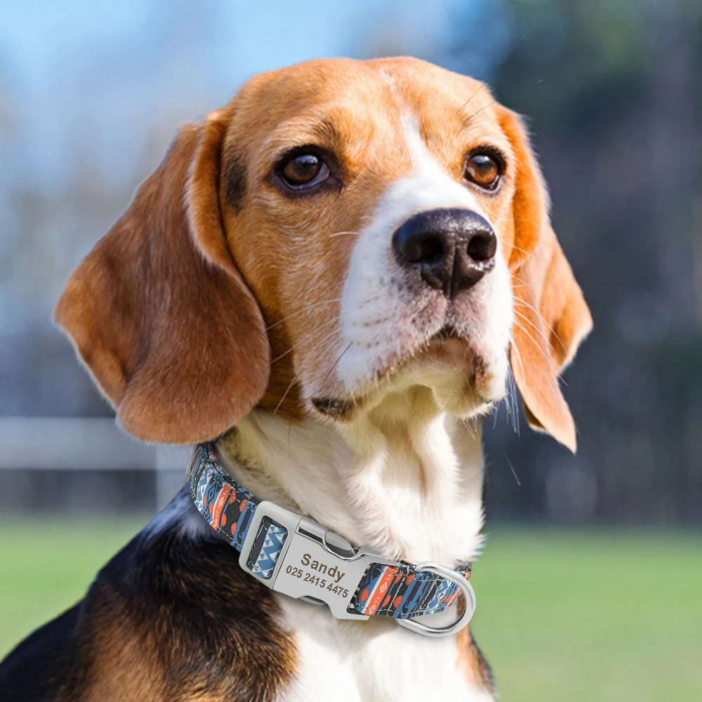 Collar identificativo con nombre para perros y gatos - imagen 5