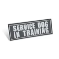 SERVICE DOG