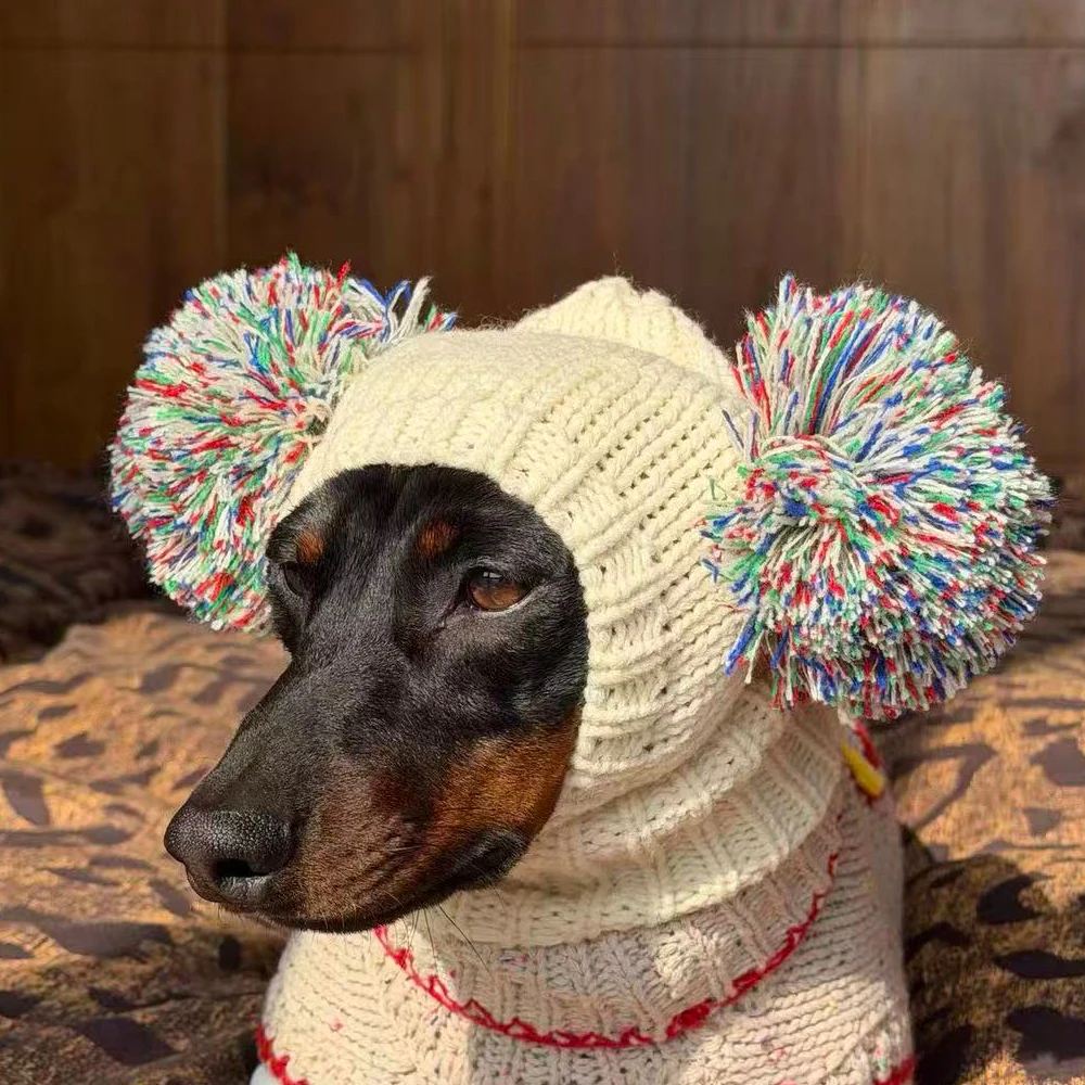Suéter de cachemira con gorro para Dachshund – Jersey térmico para perro salchicha - imagen 3