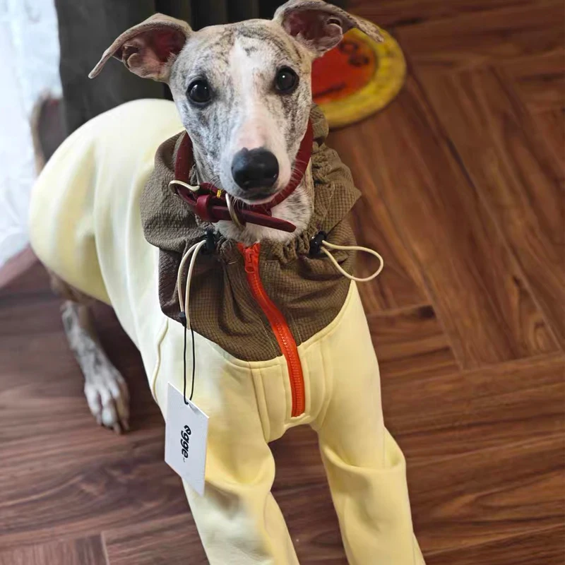 Chaqueta con capucha ajustable de dos patas de otoño para sudadera de moda de galgo italiano con cremallera para perros Whippet de medios pequeños - imagen 4
