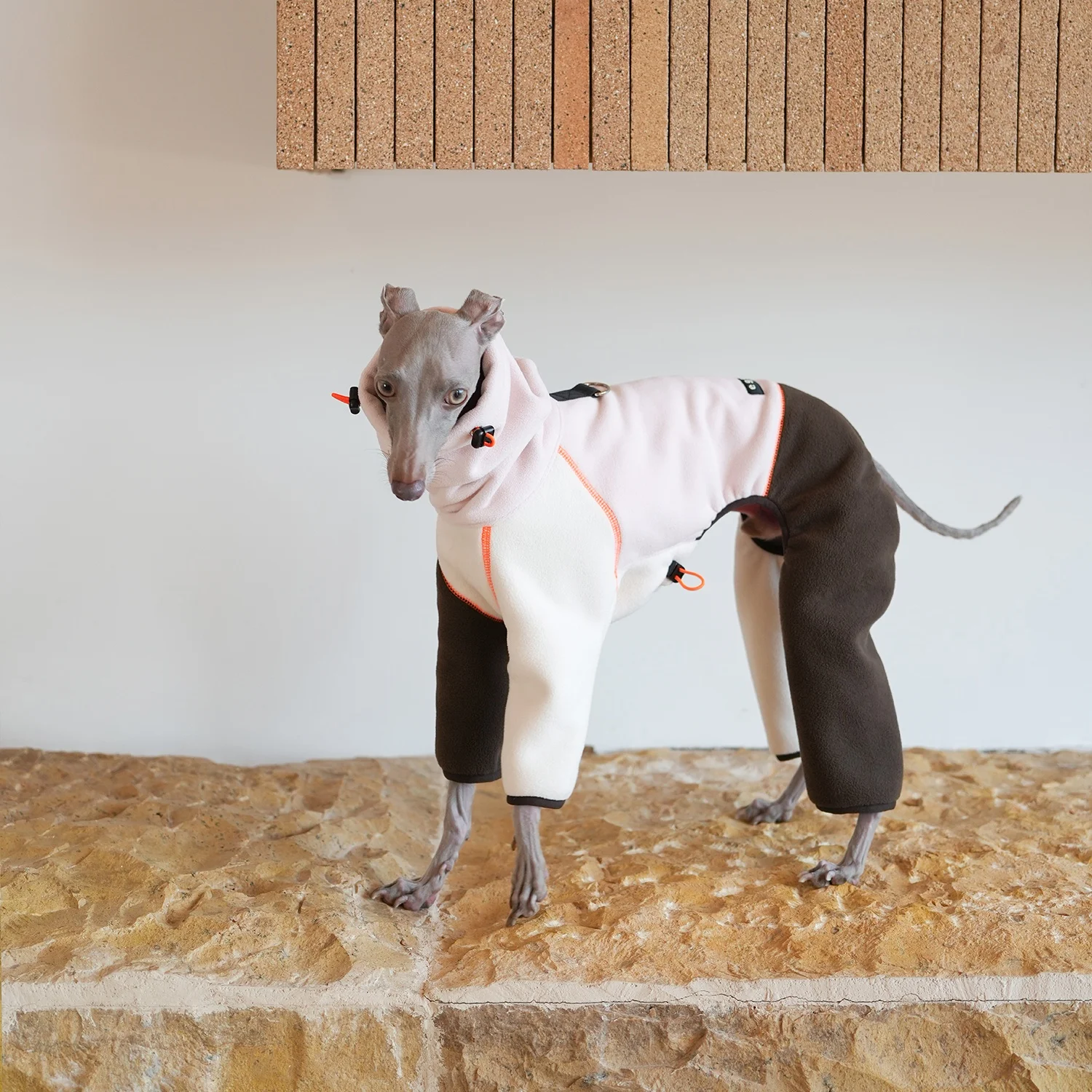 Sudadera de tela antibacteriana antiestática para perros en invierno Abrigo polar de 4 patas con bloques de color y cuello alto para galgo italiano - imagen 3