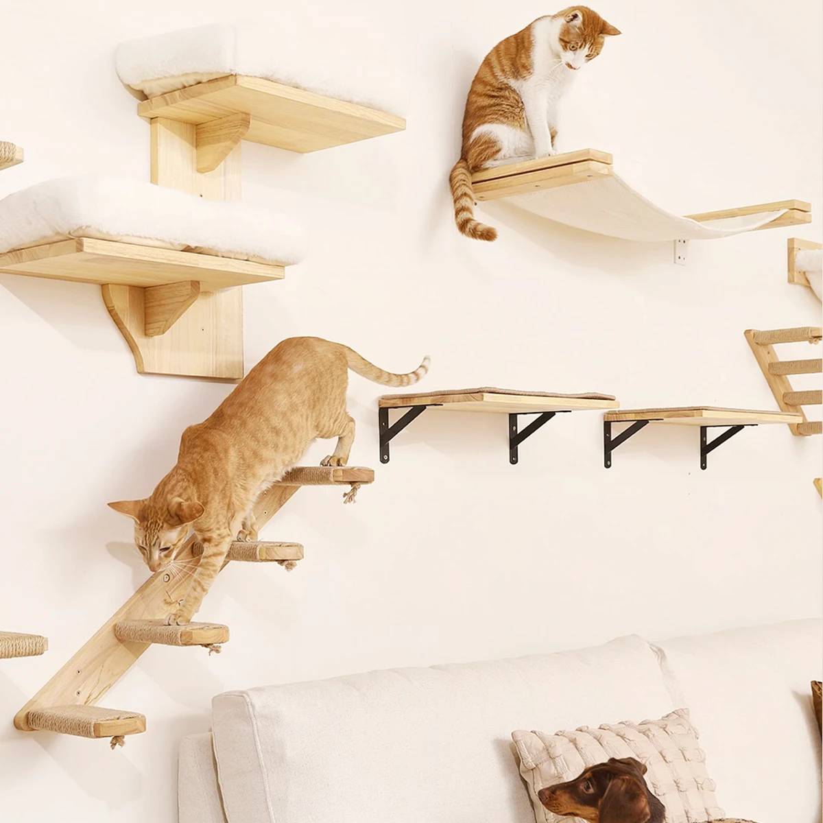 Hamaca de pared para gatos – descanso cómodo en altura - imagen 2