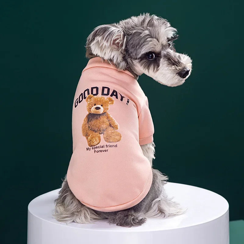 Otoño e Invierno cálido lindo oso INS Sudadera con capucha de terciopelo fino perro gato Teddy ropa para mascotas camisa Base para perros ropa para cachorros pequeños - imagen 2