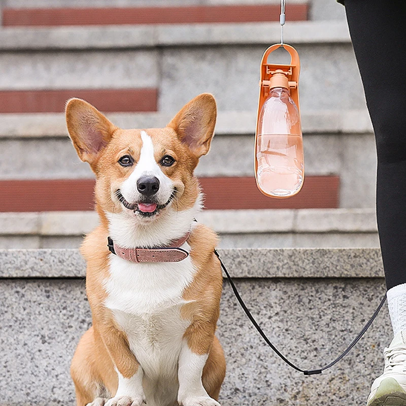 Los perros salir hervidor bebedero taza de agua portátil alimentador de agua potable taza de acompañamiento para mascotas botella de agua suministro para perros que caminan - imagen 4