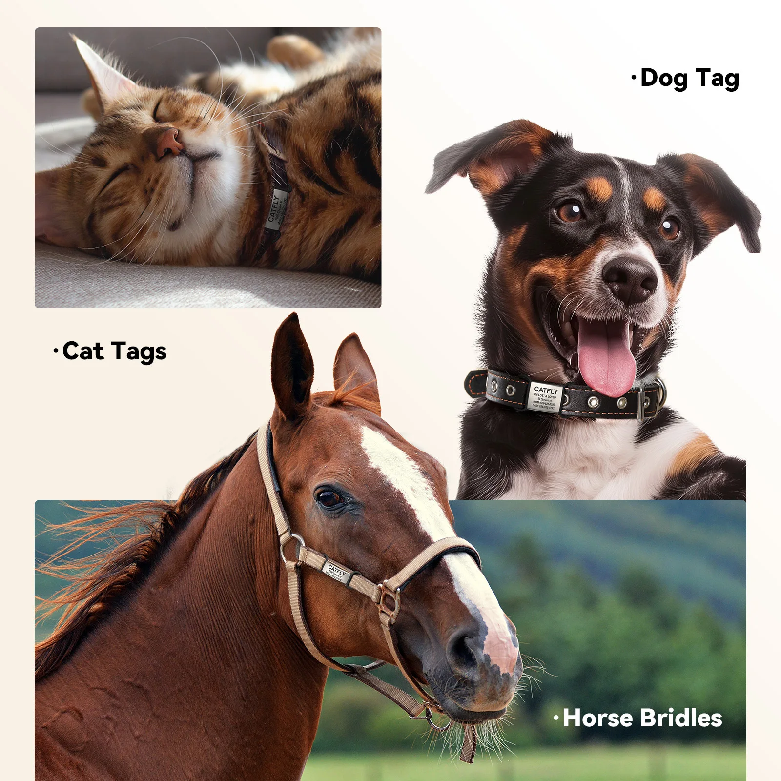 Etiqueta antipérdida de acero inoxidable, Collar para cachorro, perro y gato, etiqueta de nombre, accesorios personalizados, etiqueta de identificación de mascota, ajuste elástico - imagen 2