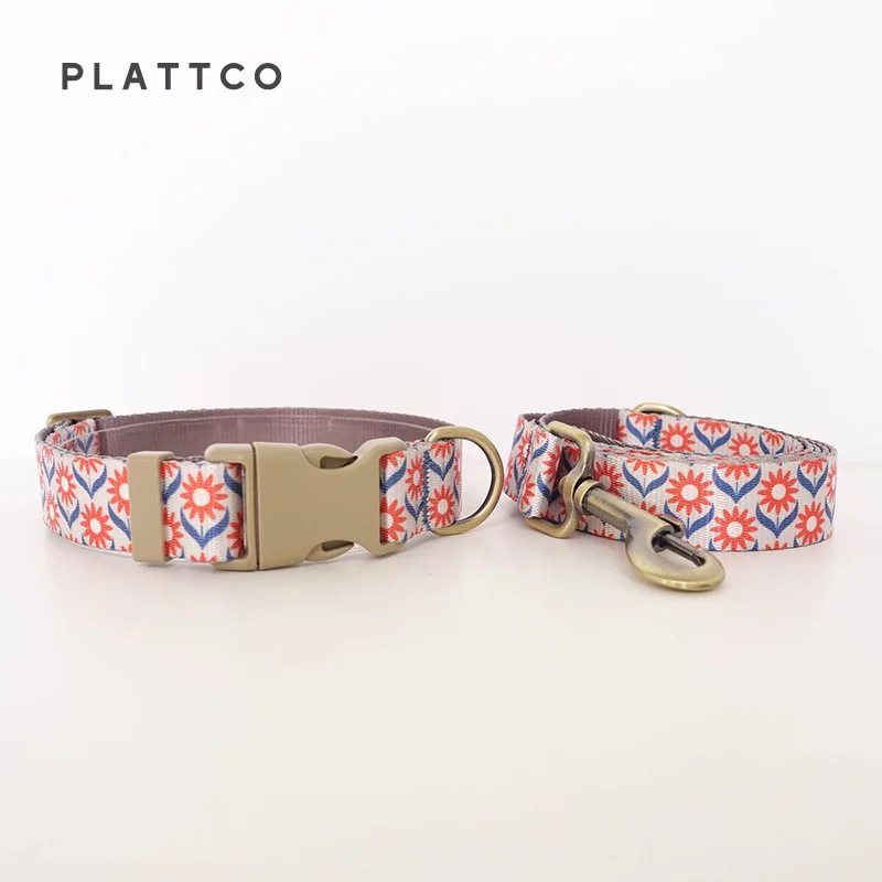 Dog Collar Leash Set