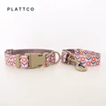 Dog Collar Leash Set