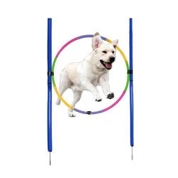 Kit entrenamiento agilidad para perros con obstáculos portátiles