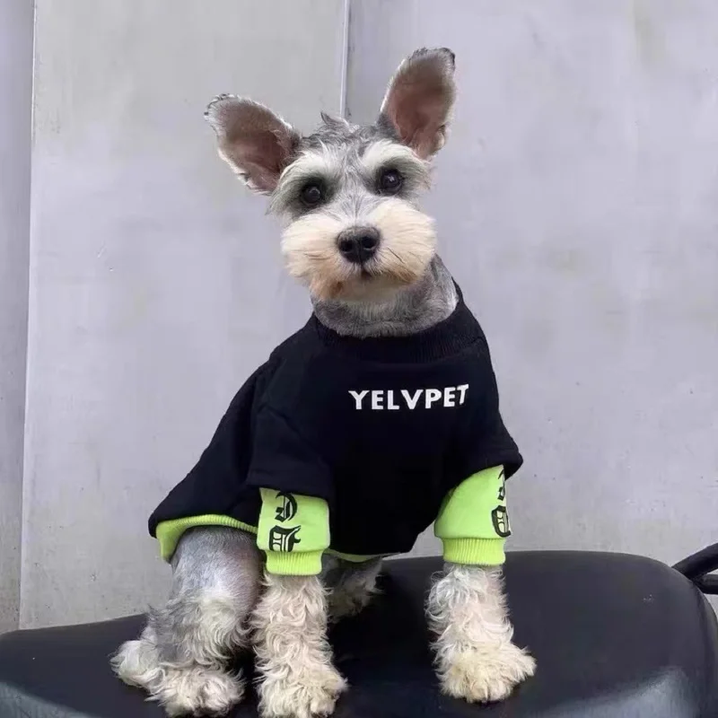 Sudaderas con capucha para perros pequeños, ropa cálida para perros, abrigo para perros con letras de moda, Schnauzer Ragdoll, gato azul, Chihuahua Otoño Invierno - imagen 4