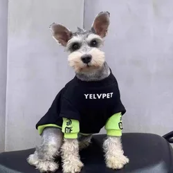 Sudadera con capucha para perros mini: Chihuahua, Bichón y Caniche