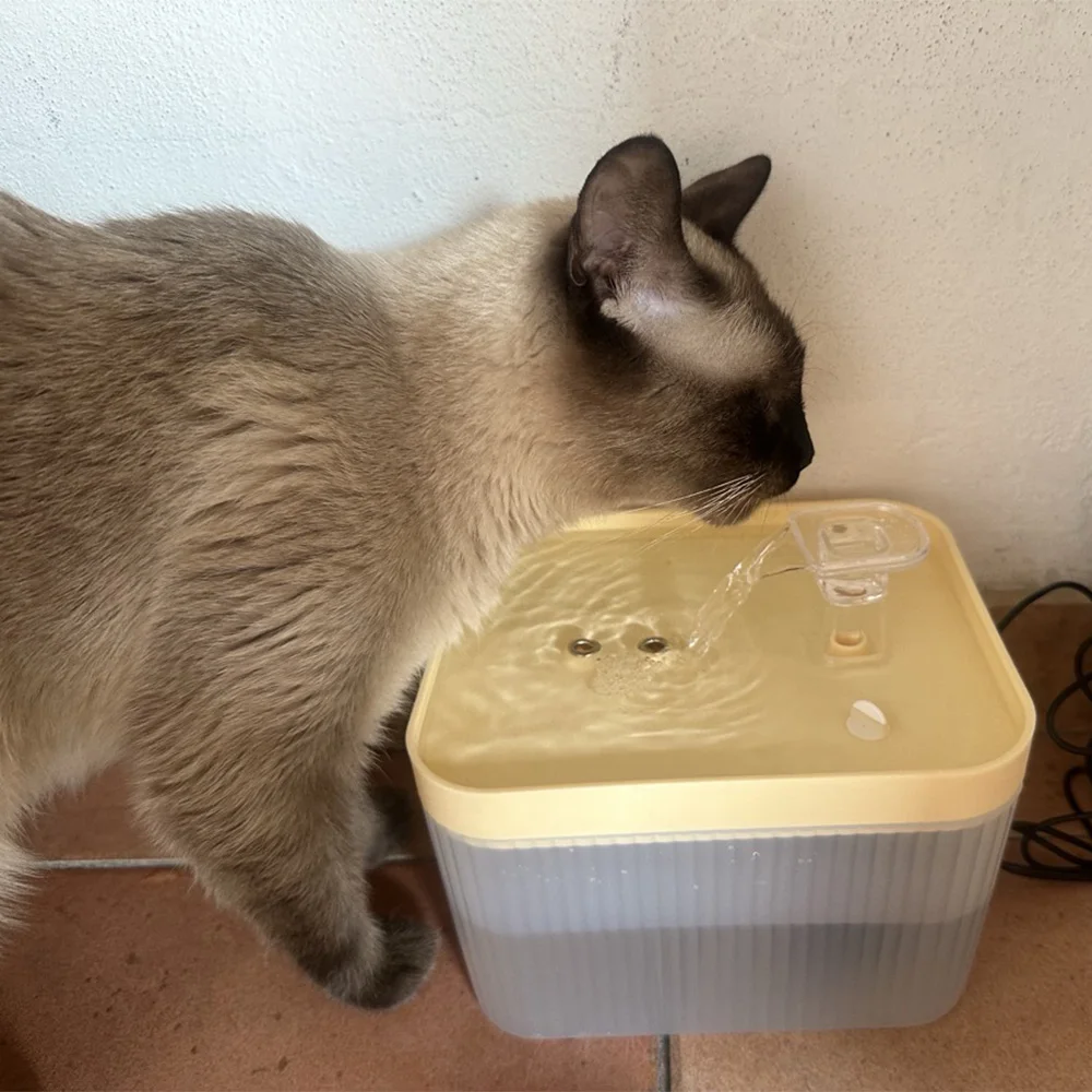 Fuente de agua para gatos y cachorros de 2,5 L, fuente para mascotas de gran capacidad para interiores filtrada con bomba ultrasilenciosa, perfecta para familias multimascotas