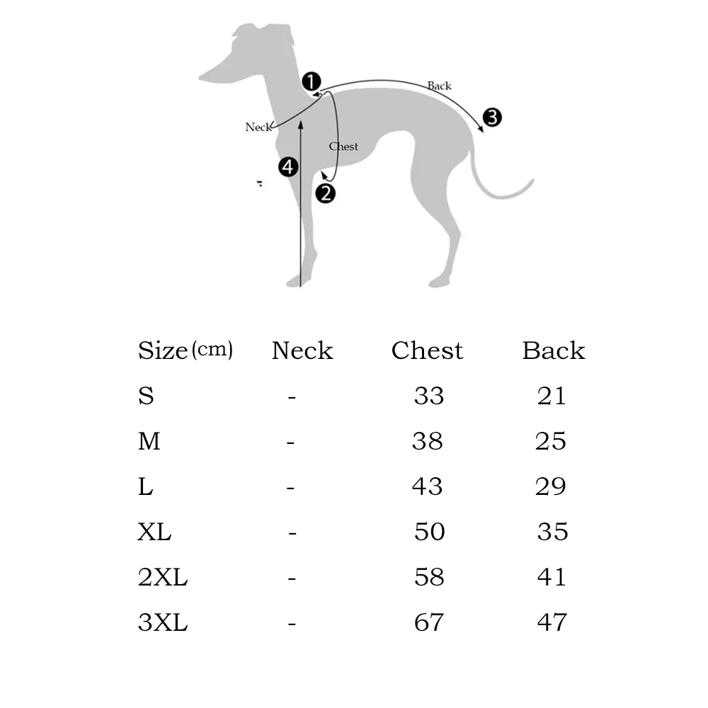 Chaleco UV ligero para galgo y whippet – Protección solar verano - imagen 2