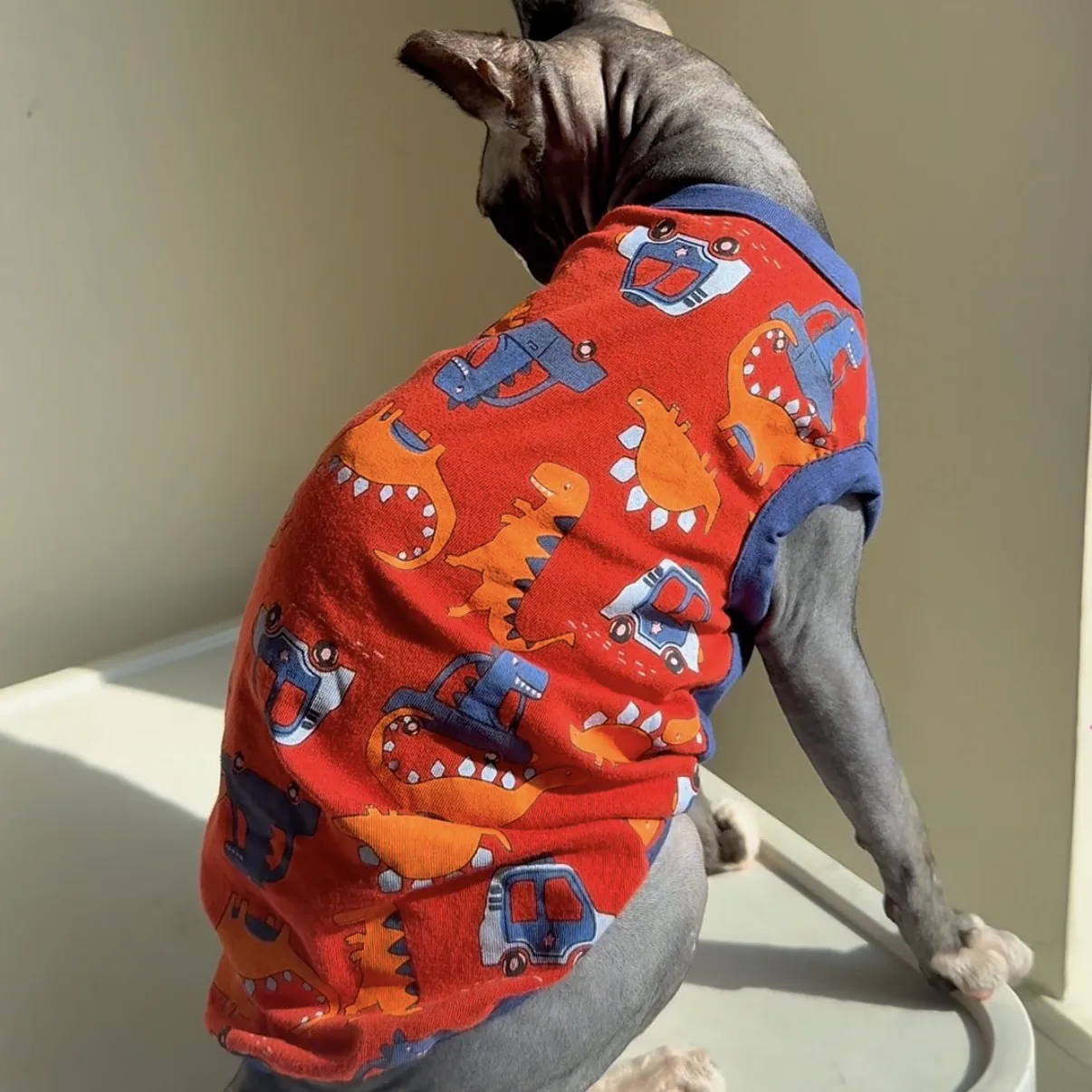 Camiseta dinosaurio chaleco sin mangas para gatos Sphynx y Devon Rex - imagen 5