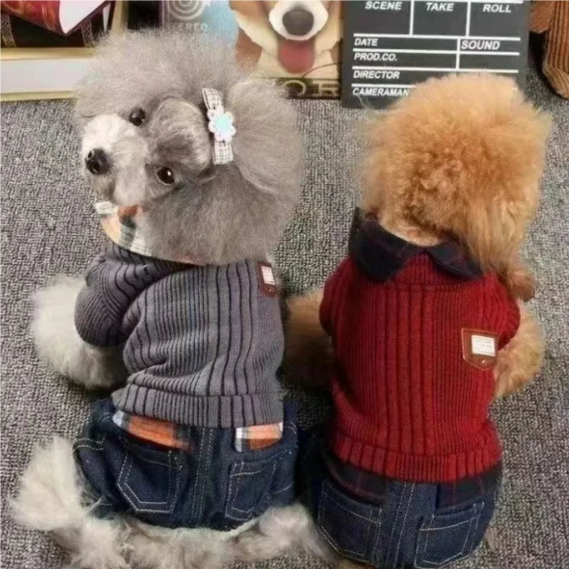 Mono de cuatro patas para perros pequeños, monos cálidos y de primavera para otoño e invierno, ropa para cachorros estilo oso de peluche - imagen 2